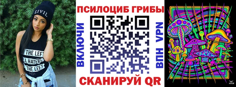 купить наркотики цена  Петровск  Галлюциногенные грибы MAGIC MUSHROOMS 